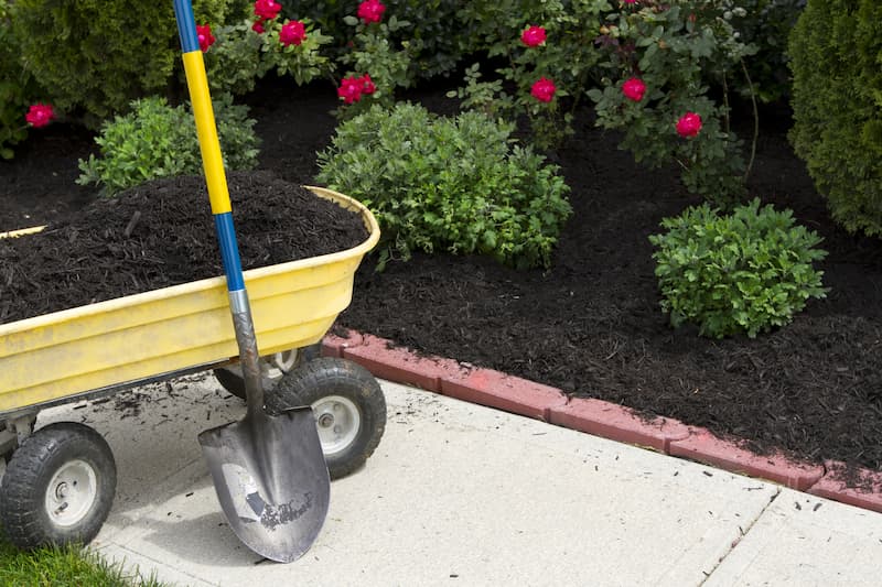 The Benefits of Mulching: Enhancing Soil Health and Plant Growth